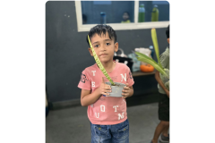 Untitled design - 1