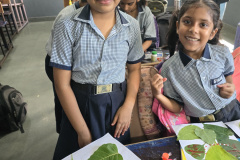 WhatsApp-Image-2024-09-06-at-10.50.11-2