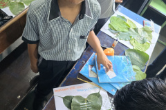 WhatsApp-Image-2024-09-06-at-10.50.11