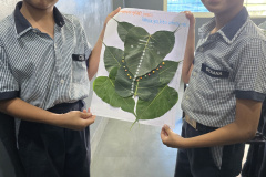 WhatsApp-Image-2024-09-06-at-10.50.17